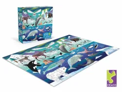 Arctic Adventure Animals