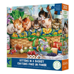 Kittens In A Basket Cats