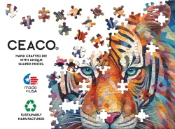 Tiger Colors Big Cats