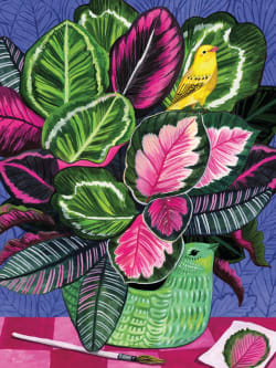 Calathea And Birds Flower & Garden