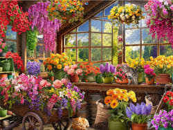 Colorful Potting Flower & Garden