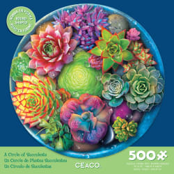 A Circle Of Succulents Flower & Garden