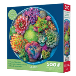 A Circle Of Succulents Flower & Garden