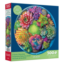 A Circle Of Succulents Flower & Garden