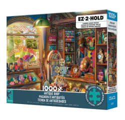 Antique Shop Nostalgic & Retro