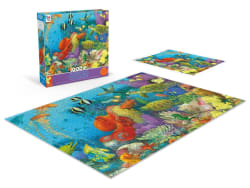 Underwater Color Sea Life