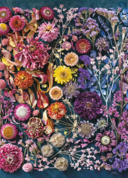 Beauty With Age Flower & Garden