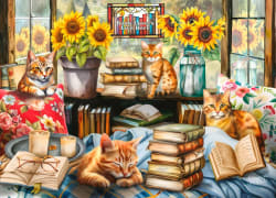 Book Lovers Live Here Around the House