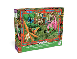 Delightful Rainforest Jungle Animals