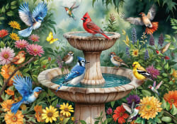 Garden Bird Bath Birds