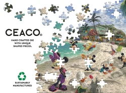 Mickey & Minnie In Florida Disney