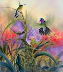 Mountain Gems Birds