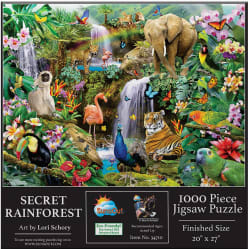 Secret Rainforest Animals