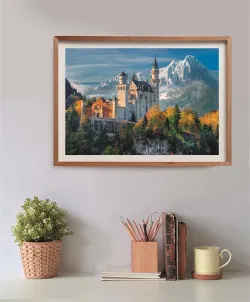 Neuschwanstein Castle Castle