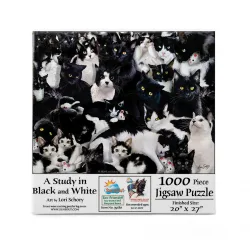 A Study in Black and White Cats