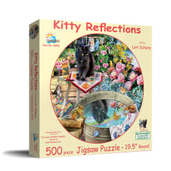 Kitty Reflections Cats