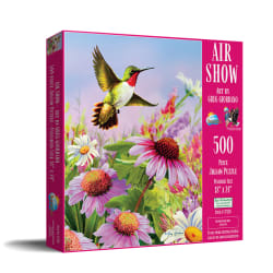 Air Show Birds