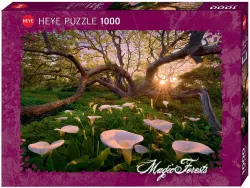 Magic Forests, Calla Clearing Spring