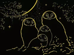 Owls in the Moonlight Birds