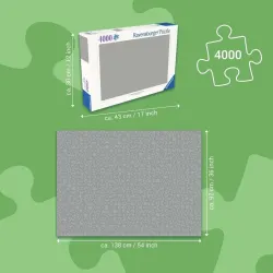 Hidden World of Fairies Fantasy