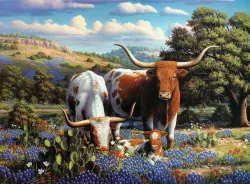 Loving Longhorns Animals