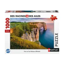 Vue sur les falaises d'Etretat Travel