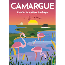 Affiche de la Camargue Birds