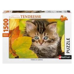 1500pc, Chaton en automne Cats