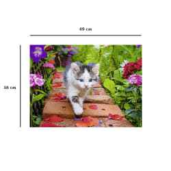 Chaton au jardin Cats