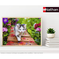 Chaton au jardin Cats