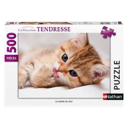 La toilette du chat Cats