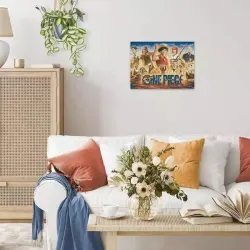 One Piece Movies & TV