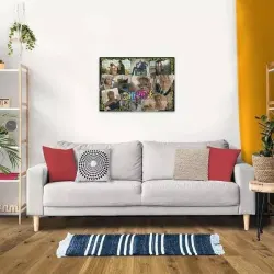 One Piece Movies & TV