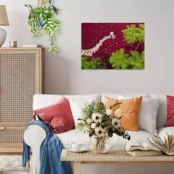 A Sea of Red Flower & Garden