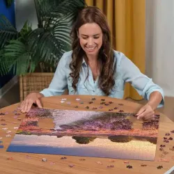 Pink Pathway Flower & Garden