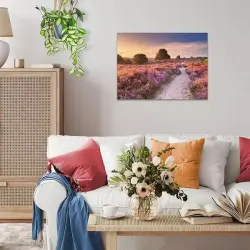 Pink Pathway Flower & Garden