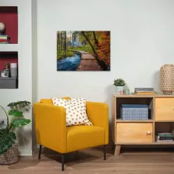 Autumnal Wooden Trail Fall