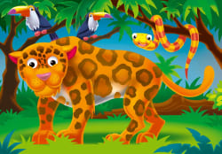 Where Do I Live? Animals