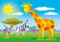 Where Do I Live? Animals