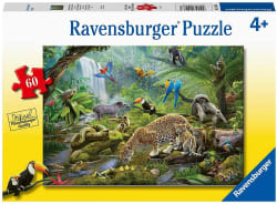 Rainforest Animals Jungle Animals
