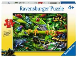 Amazing Amphibians Reptile & Amphibian Jigsaw Puzzle