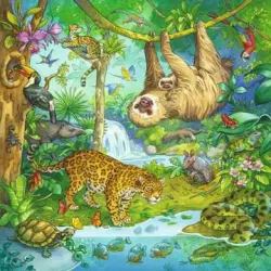 Jungle Fun Multipack Jungle Animals