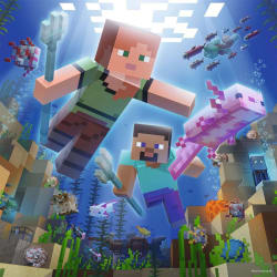 Minecraft Biomes Video Game