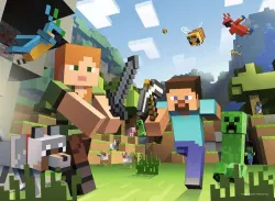 Minecraft Video Game