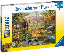 Animals of the Savannah Animals