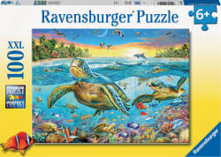 Swim with Sea Turtles Sea Life