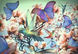 Hummingbird Fine Art