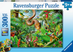 Reptile Resort Reptile & Amphibian