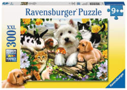Happy Animal Buddies Animals