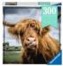 Puzzle Moments: Highland Cattle Animals Jigsaw Puzzle